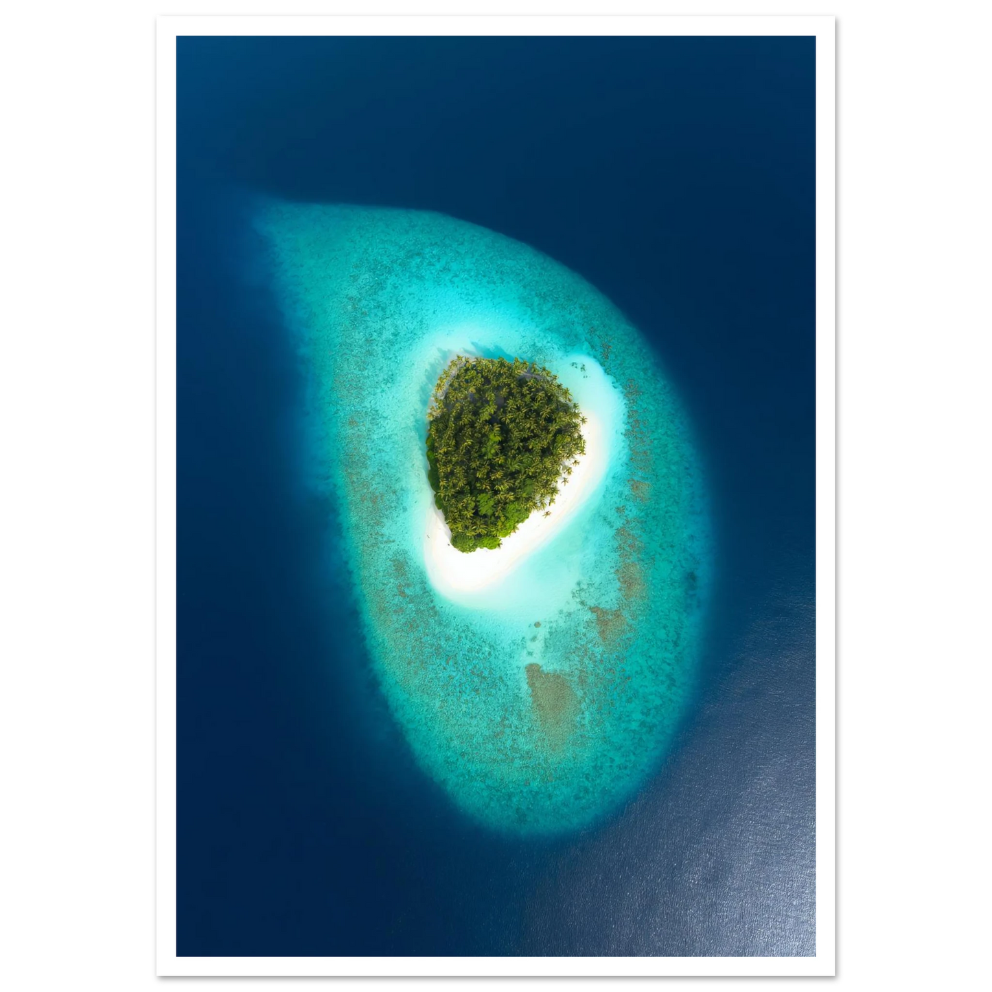 d29da803-8eb7-4435-aca8-52c2797570b5