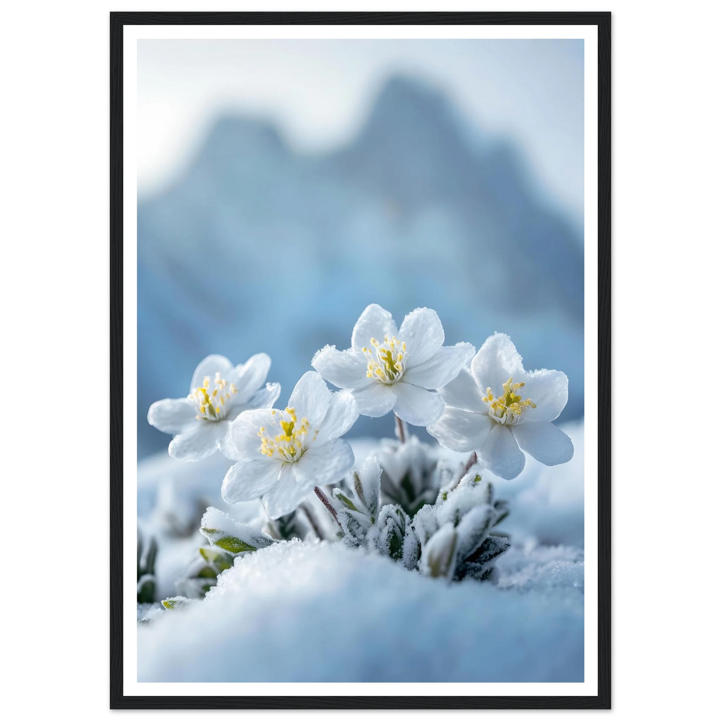 d34acd65-ed52-4ca4-b142-c13cb50a5477