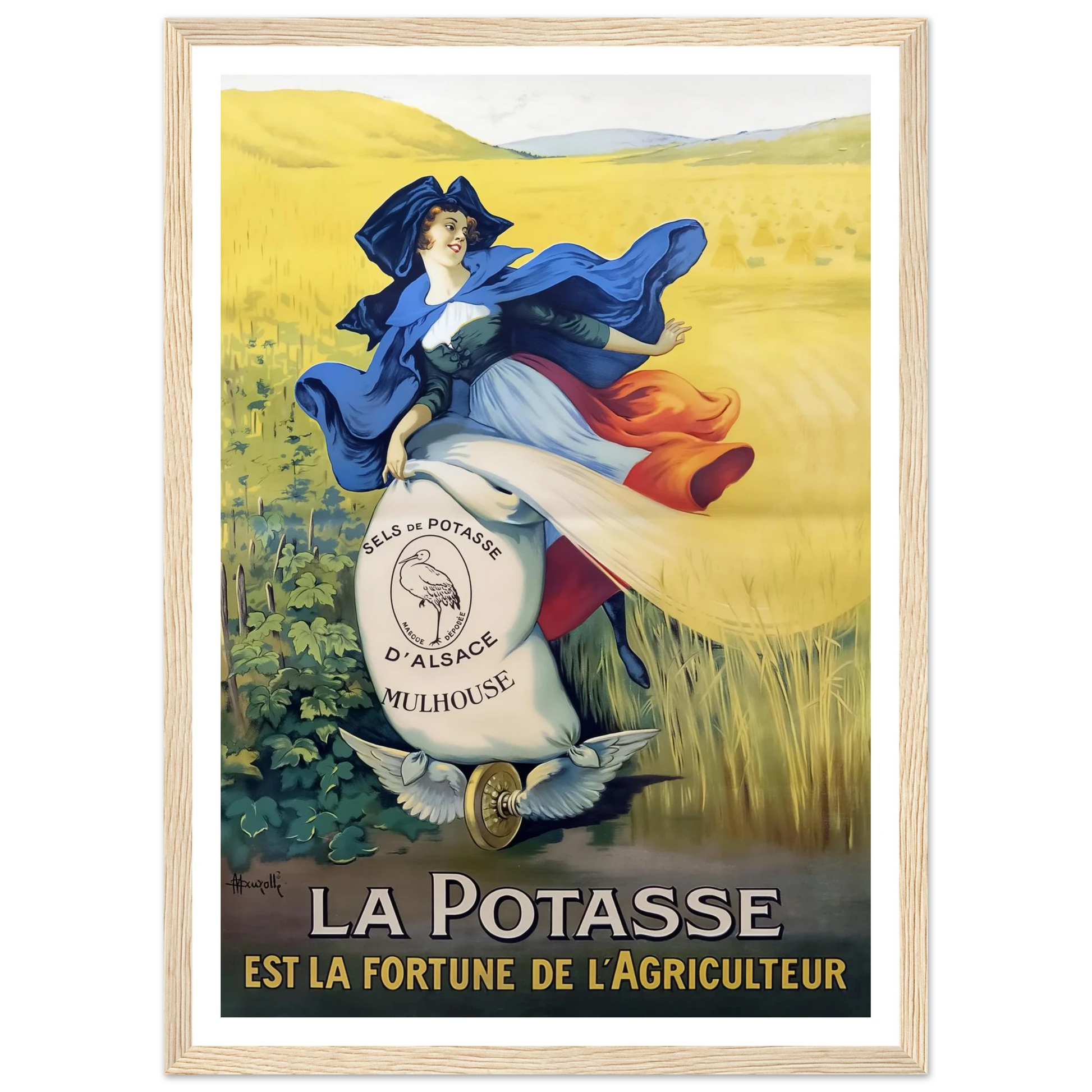 d56bd303-304d-4186-9182-147e38dc5e9a