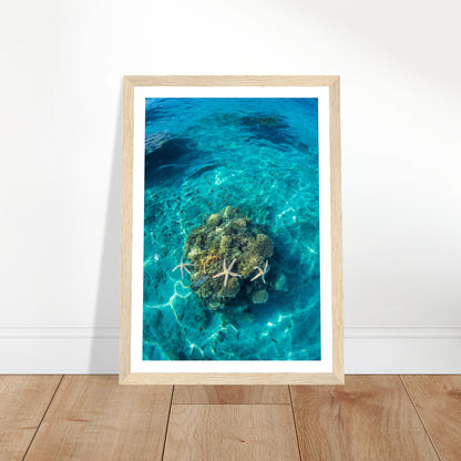 d742c572-b750-49d5-a112-daaf7e21bfe4