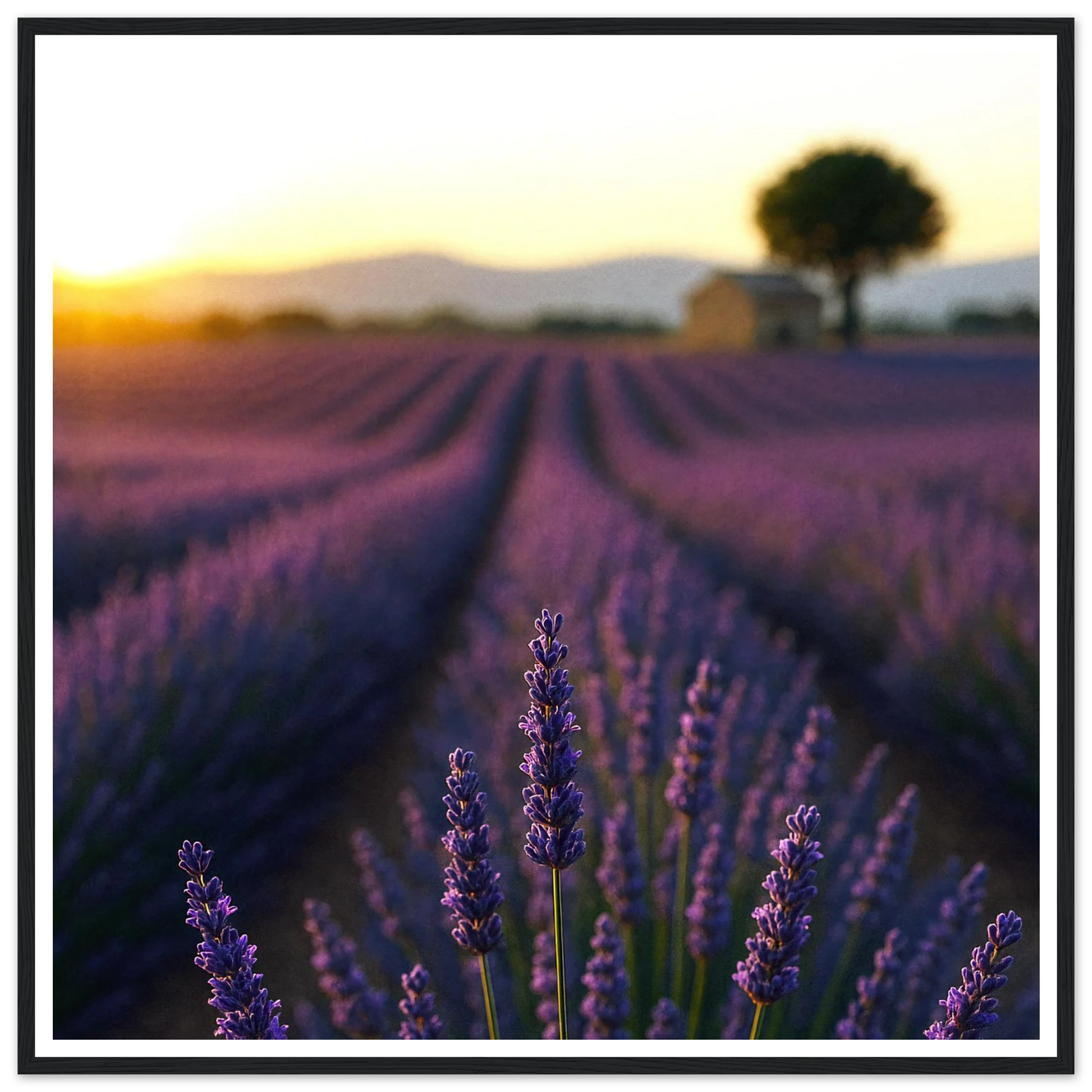 d964879c-0f68-4311-8ff5-92d3aa64828d