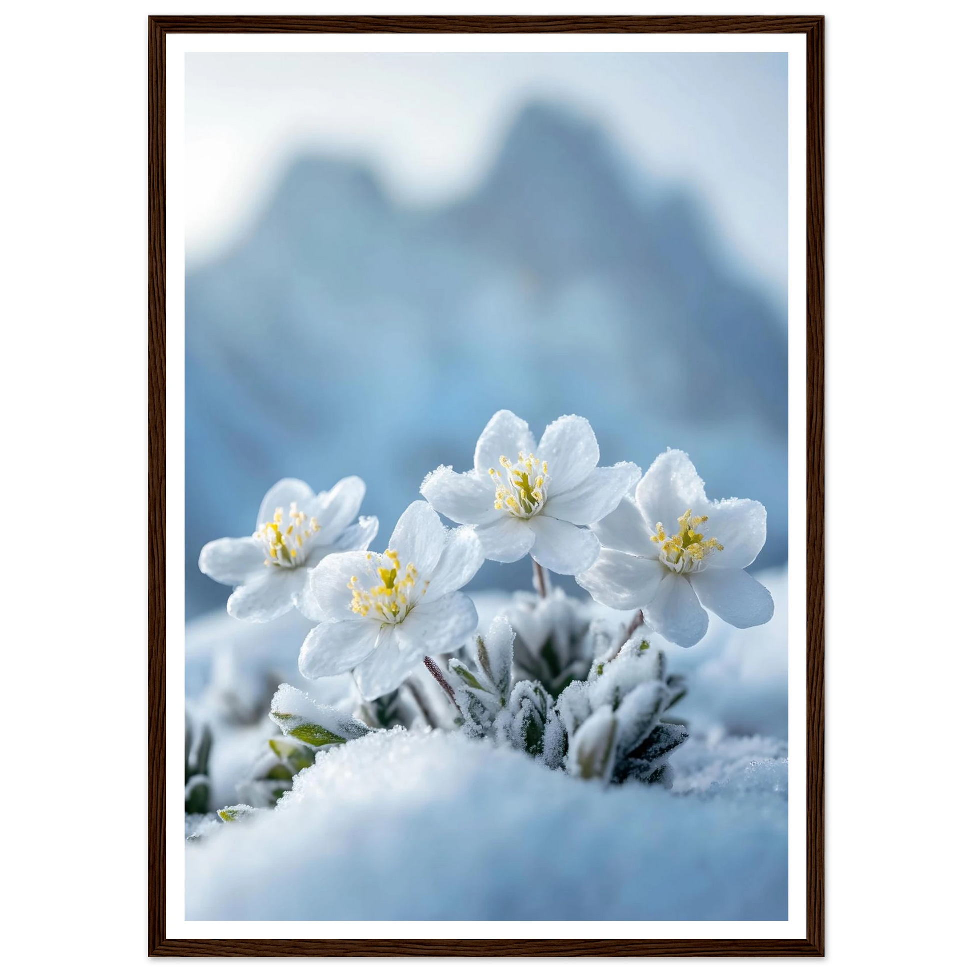 dc902a04-067a-4c22-aff9-699c314bc067