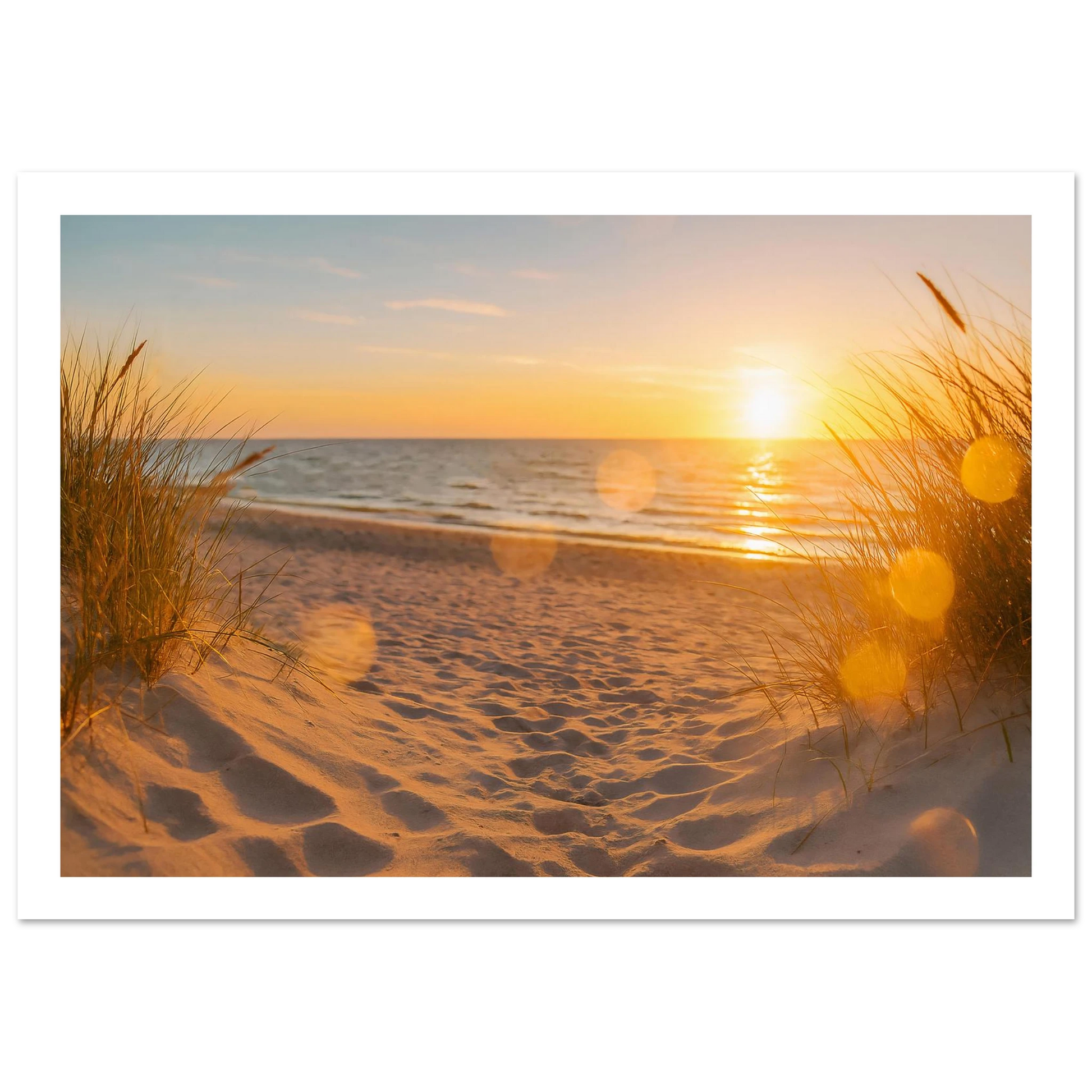 dff5c742-f055-4576-8d25-7bc417de46e7