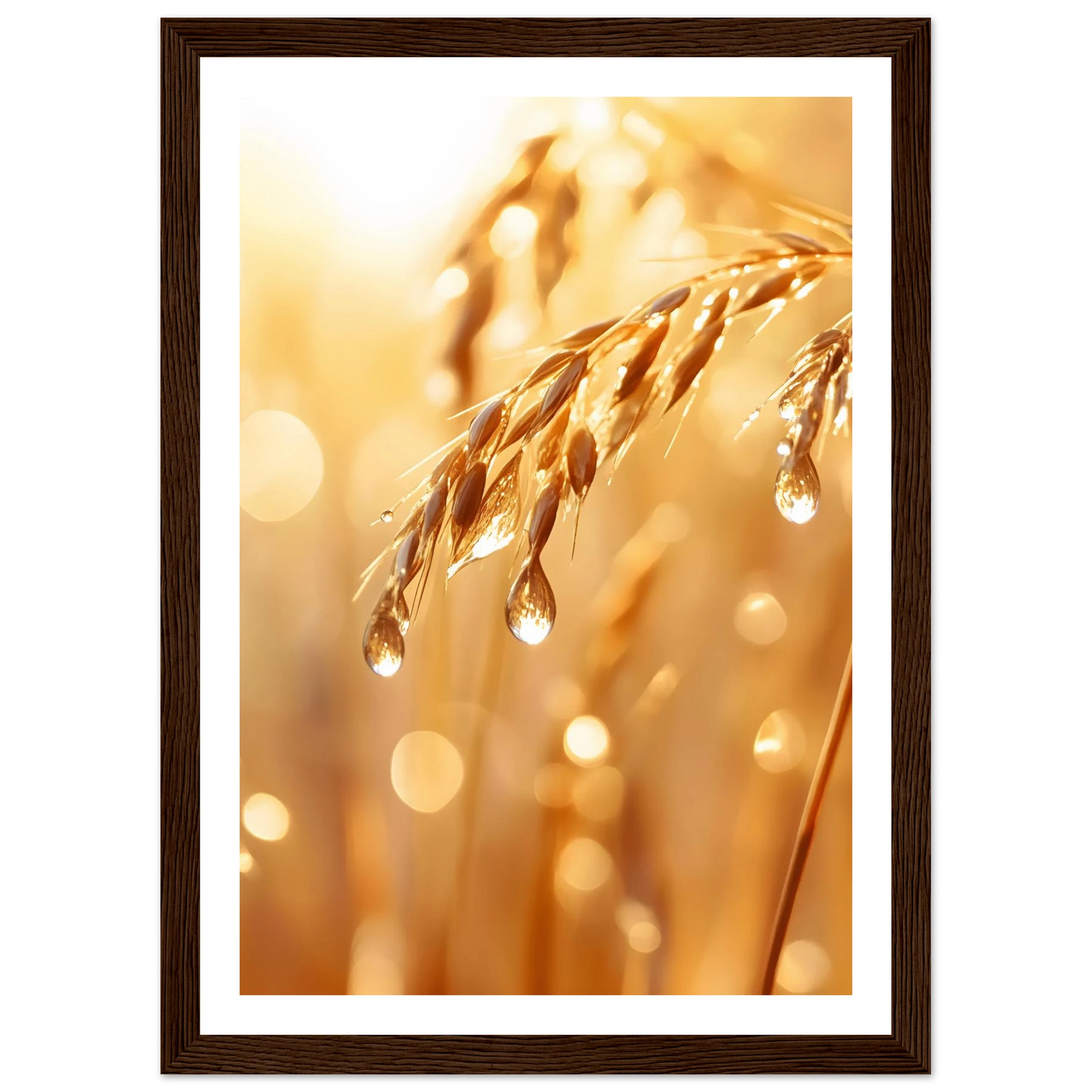 e11c6cbb-a326-4021-af4e-0981805c9541