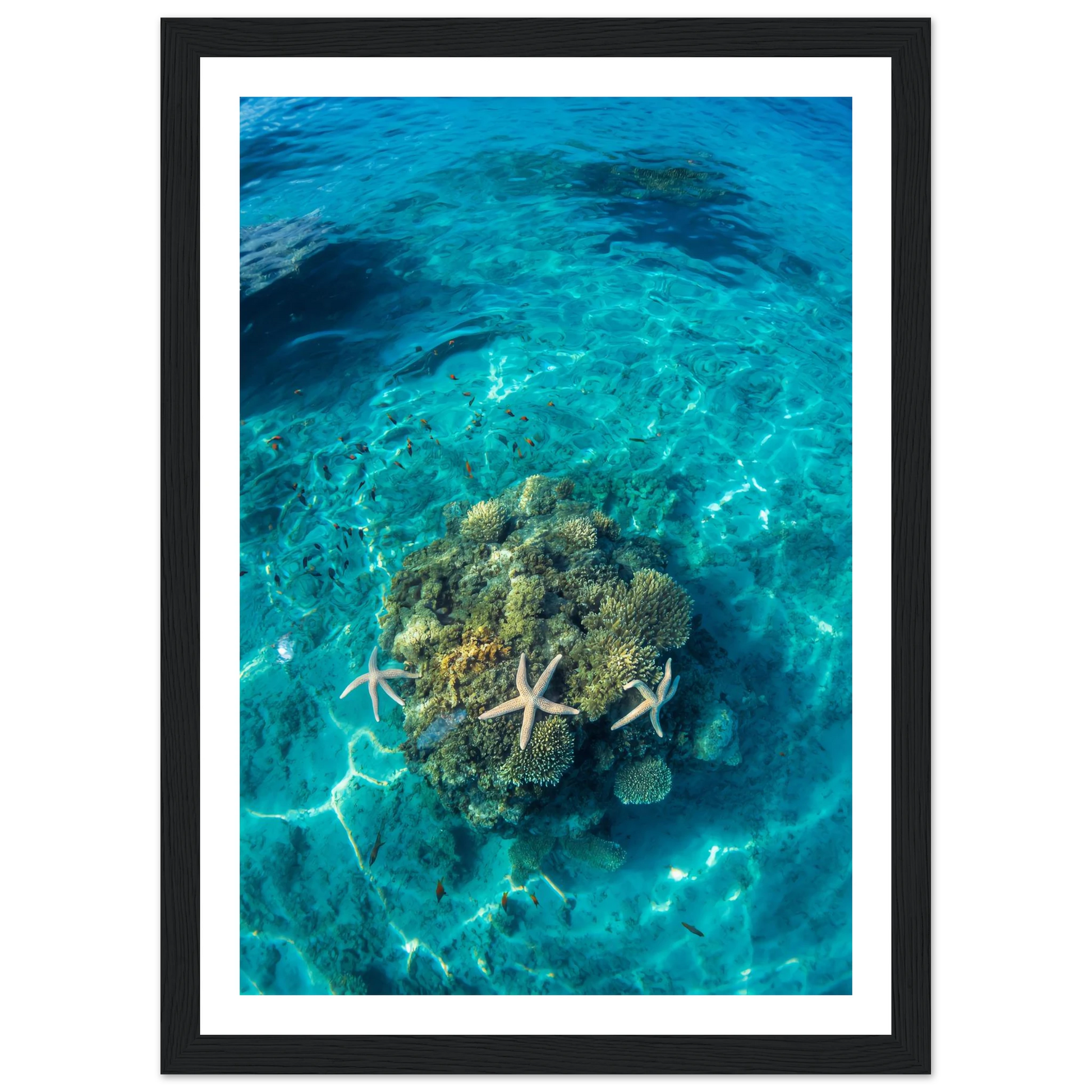 ed34b4a0-2567-476a-baed-4c6007af3521