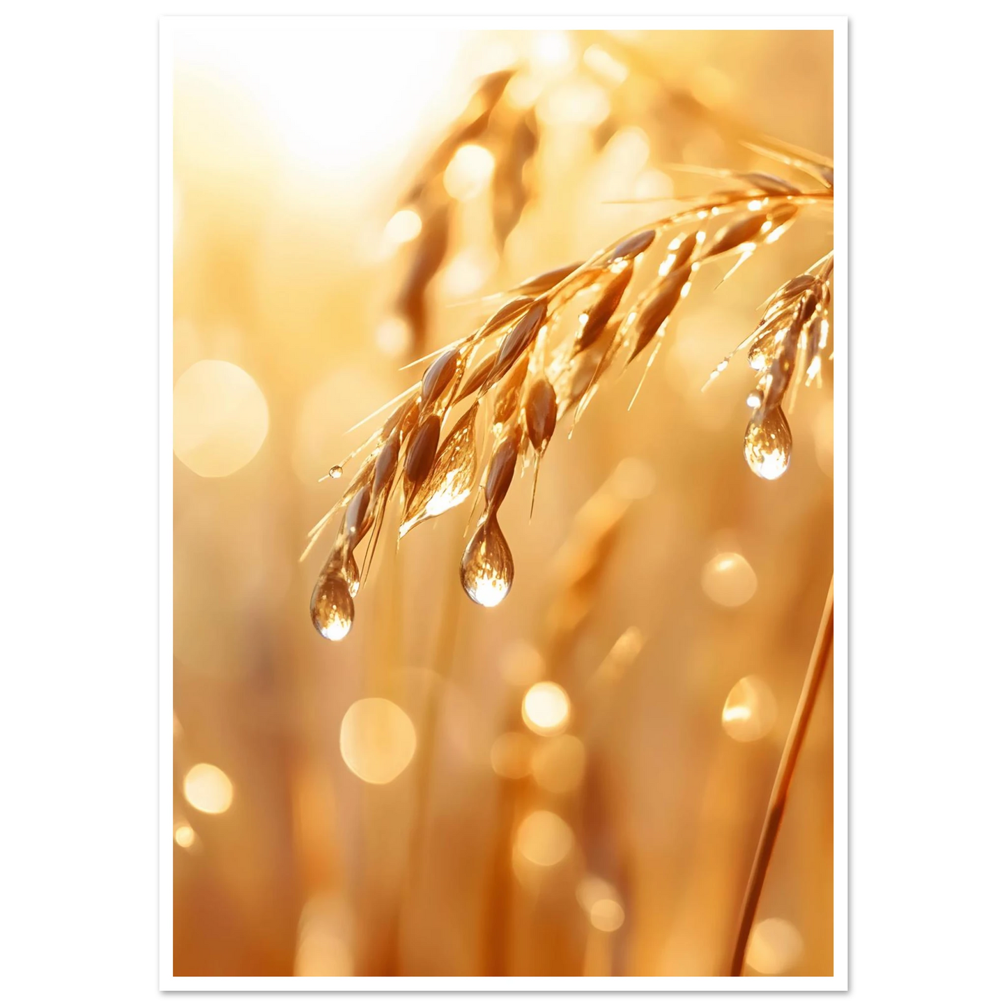 edee6f8c-1173-4be6-8d68-1436e0eb0c1e